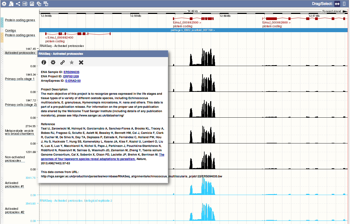 RNASeq metadata