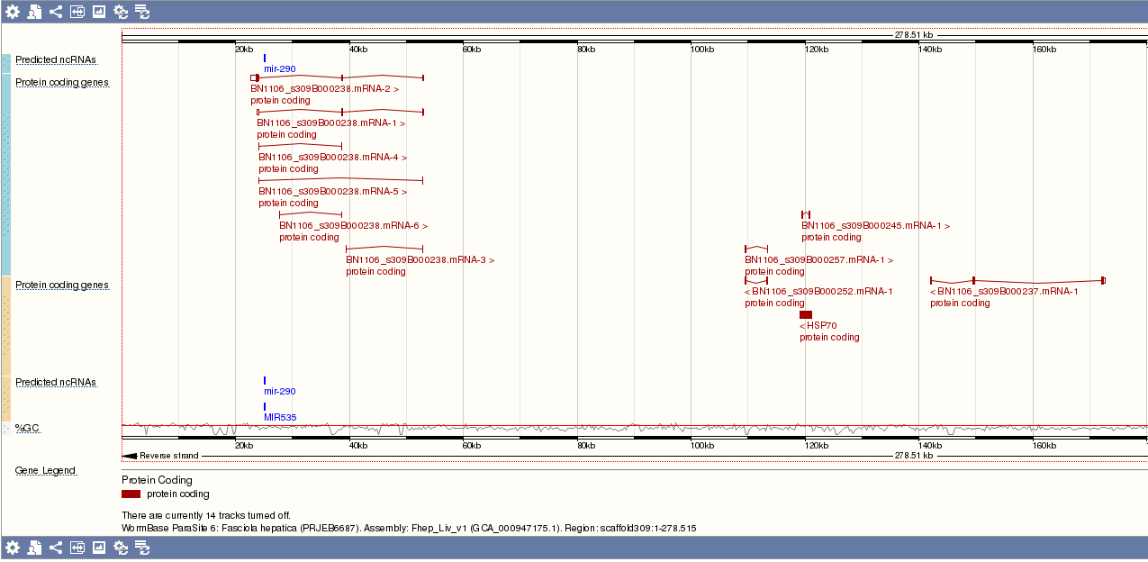 ncRNA tracks