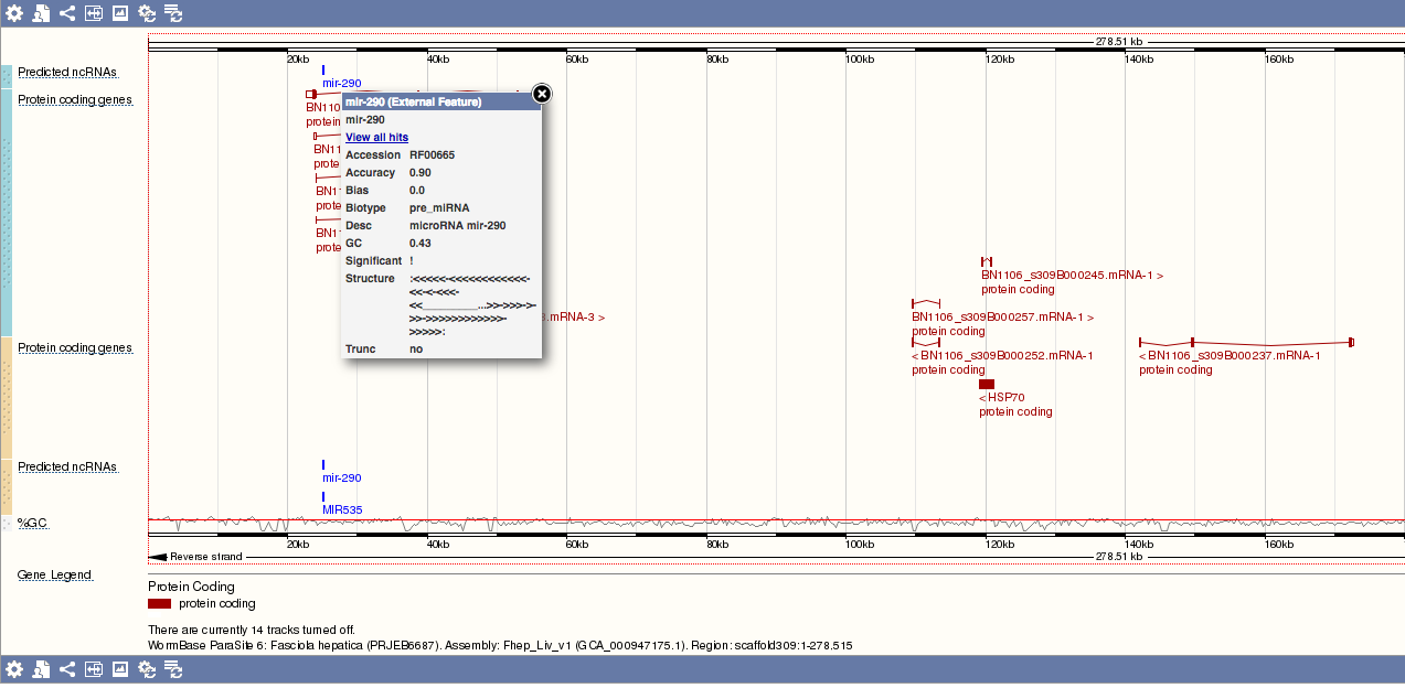 ncRNA metadata